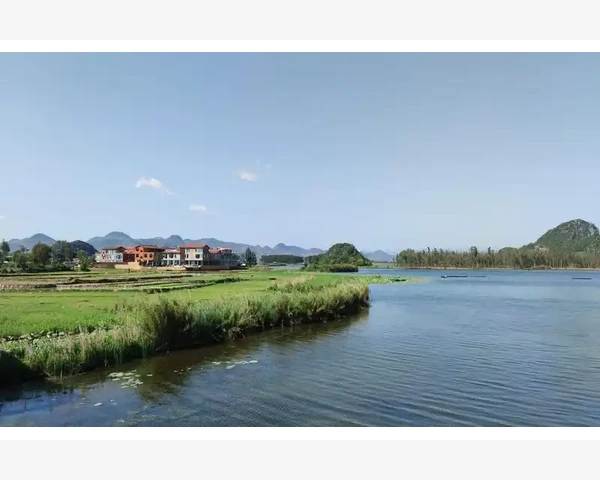 刚开始咳嗽，尝试清肺养护之道