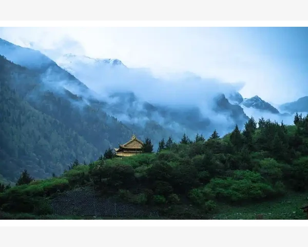 刚出院的病人吃什么好