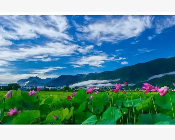 文科会计名校排名与选校实用要点