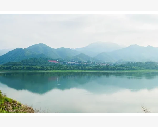 刚做完腹腔镜，吃什么好？